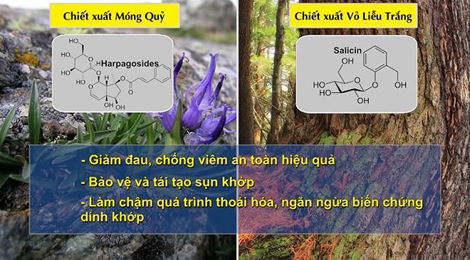 Đau nhức xương khớp muốn nhanh thoát bệnh - Đây là điều phải “khắc cốt ghi tâm” - 3