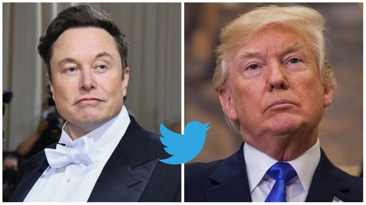 Elon Musk tiết lộ số phận của những tài khoản từng bị khóa trên Twitter - 1