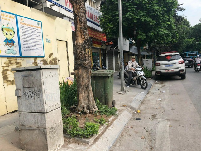 Hàng loạt cây xanh ở Hà Nội nghi bị đầu độc: Mức xử lý vi phạm đến đâu? - 1