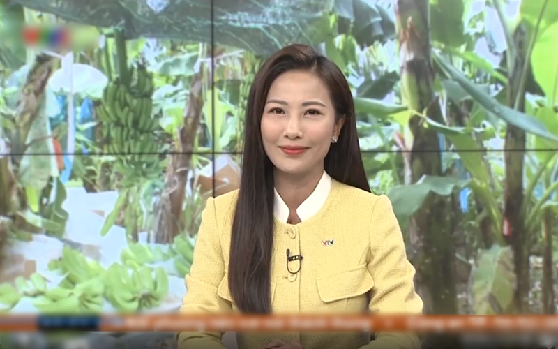 MC Quỳnh Hoa dẫn bản tin "Chào buổi sáng" trên VTV1 ngày 3/11