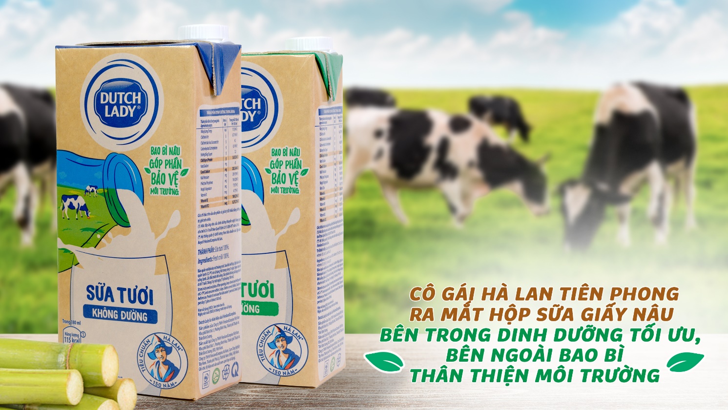 Giảm “dấu chân carbon” bằng vỏ hộp giấy nâu làm từ cây mía, thương hiệu sữa nào đang tiên phong? - 1