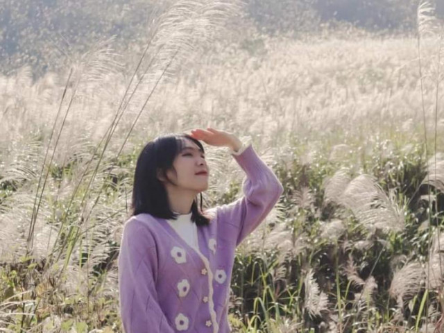 Du lịch - Chinh phục "sống lưng khủng long", chụp ảnh bên thiên đường cỏ lau