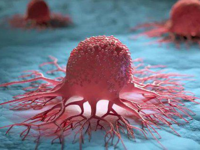 Sức khỏe đời sống - Đột phá: Phát hiện thứ có thể khiến ung thư ngừng di căn