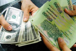 Kinh doanh - Tỷ giá USD hôm nay 5/11: Quay đầu giảm mạnh phiên cuối tuần