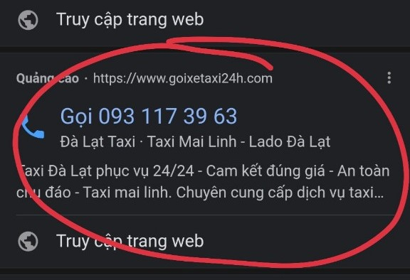 Nhiều hãng taxi ở Đà Lạt bị giả mạo, tính tiền gấp đôi - 1