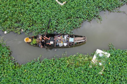 Tin tức trong ngày - Cuộc sống cô độc của cụ bà 74 tuổi lênh đênh trên thuyền giữa Sài Gòn