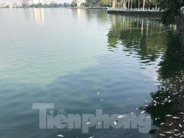 Tin tức trong ngày - Kết quả quan trắc nước hồ Tây sau hiện tượng cá chết ra sao?