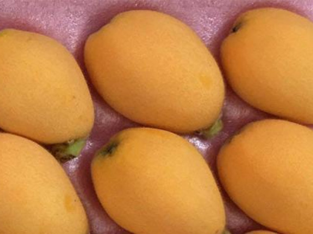 Thị trường - Tiêu dùng - Hoa quả nhà giàu giá cao ngất ngưởng vẫn ''cháy'' hàng