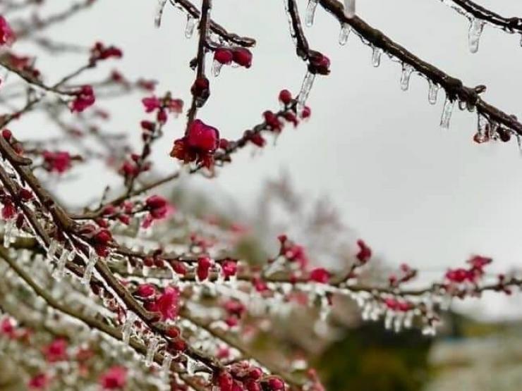 Tin tức trong ngày - Khi nào miền Bắc hứng đợt rét đậm, rét hại đầu tiên của mùa đông 2022?