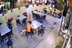 Phi thường - kỳ quặc - Clip: Mẹ "chạy đua tốc độ" ngăn con trai lao đầu vào xe tải