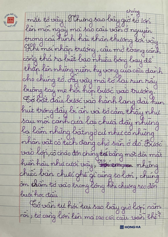 Bức thư viết về ngôi trường của học sinh lớp 5 nhận "cơn mưa" lời khen từ cộng đồng mạng - 2