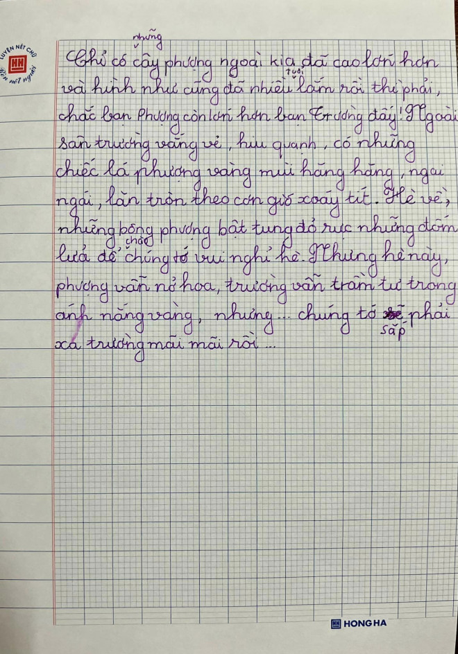 Bức thư viết về ngôi trường của học sinh lớp 5 nhận "cơn mưa" lời khen từ cộng đồng mạng - 3