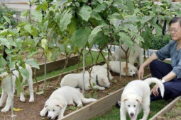 Thế giới - Cựu Tổng thống Hàn Quốc trả lại quà của Chủ tịch Triều Tiên cho Seoul