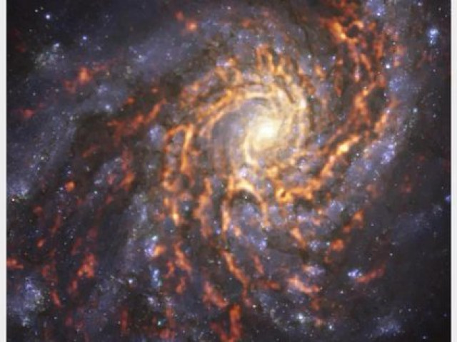 Công nghệ thông tin - "Xuyên không" 55 triệu năm, thế giới giống chúng ta hiện hình