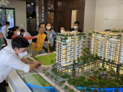 Kinh doanh - Cổ phiếu bất động “lau sàn” la liệt, có nên bắt đáy?