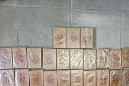 Pháp luật - Phá đường dây ma túy của bà trùm Thảo "bầu"