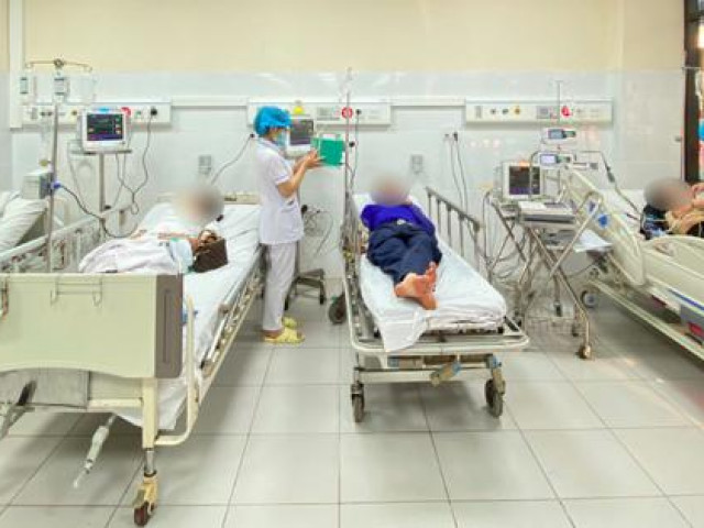 Tin tức trong ngày - Đang chơi ở bìa rừng bất ngờ bị đàn ong khoái khổng lồ tấn công