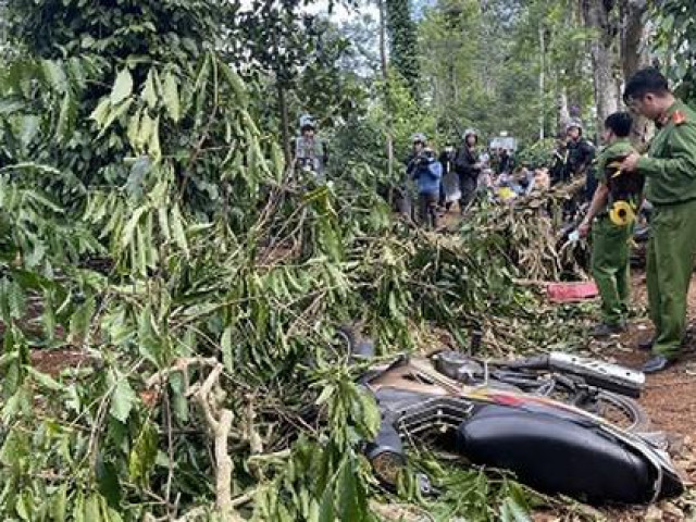 Pháp luật - Tạm giữ 7 đối tượng chống người thi hành công vụ tại vườn cà phê