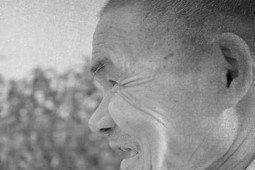 Sức khỏe đời sống - Ăn chay lâu dài có tốt cho sức khỏe không?