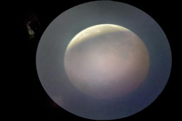 Tin tức trong ngày - Đổ xô về công viên bên sông Sài Gòn ngắm “trăng máu”, người yêu thiên văn nuối tiếc vì "sự cố"