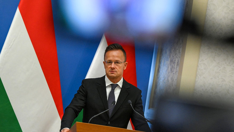 Bộ trưởng Ngoại giao Hungary Peter Szijjarto (ảnh: RT)