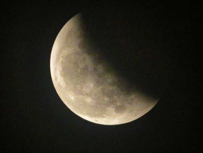 Mặt Trăng bị "cắn dở" và chỉ hơi cam nhìn từ TP HCM lúc 19 giờ 15 phút đêm 8-11 - Ảnh: ANH THƯ