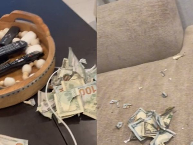 Phi thường - kỳ quặc - Để 67 triệu tiền lương của chồng ở phòng khách, 2 tiếng sau vợ chết lặng vì "thảm họa" trước mắt