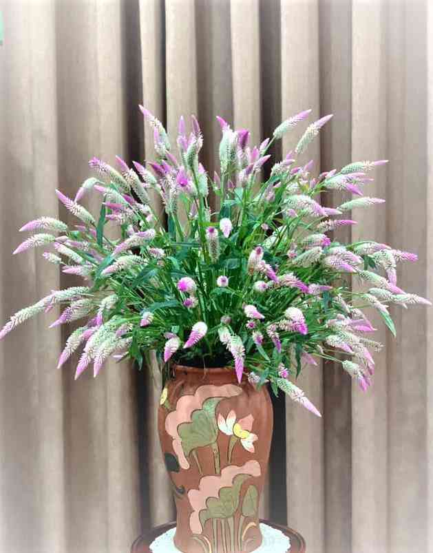 Bình hoa được cắm từ loại cỏ mào gà