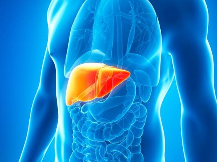 Sức khỏe đời sống - Những điều bạn ước mình biết sớm hơn về lá gan quý hơn vàng
