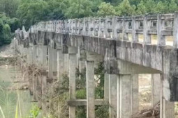 Tin tức trong ngày - Video: Người dân lo lắng khi đi qua cây cầu cũ nát ở Bình Định