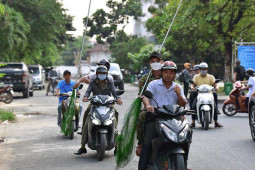 Tin tức trong ngày - Ảnh: Thấy đội bắt chó thả rông, chủ ôm cún cưng giấu trên gác xép