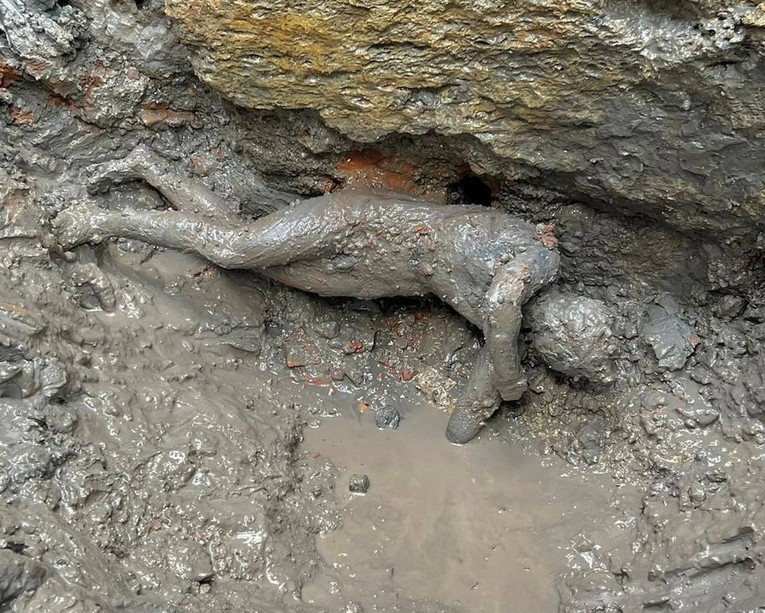 Một bức tượng đồng được khai quật ở vùng Tuscany (ảnh&nbsp;: Reuters)