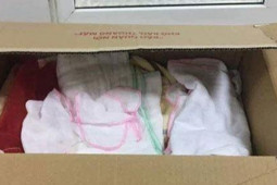 Tin tức trong ngày - Người bỏ rơi bé gái sơ sinh trong rừng có bị xử hình sự không?