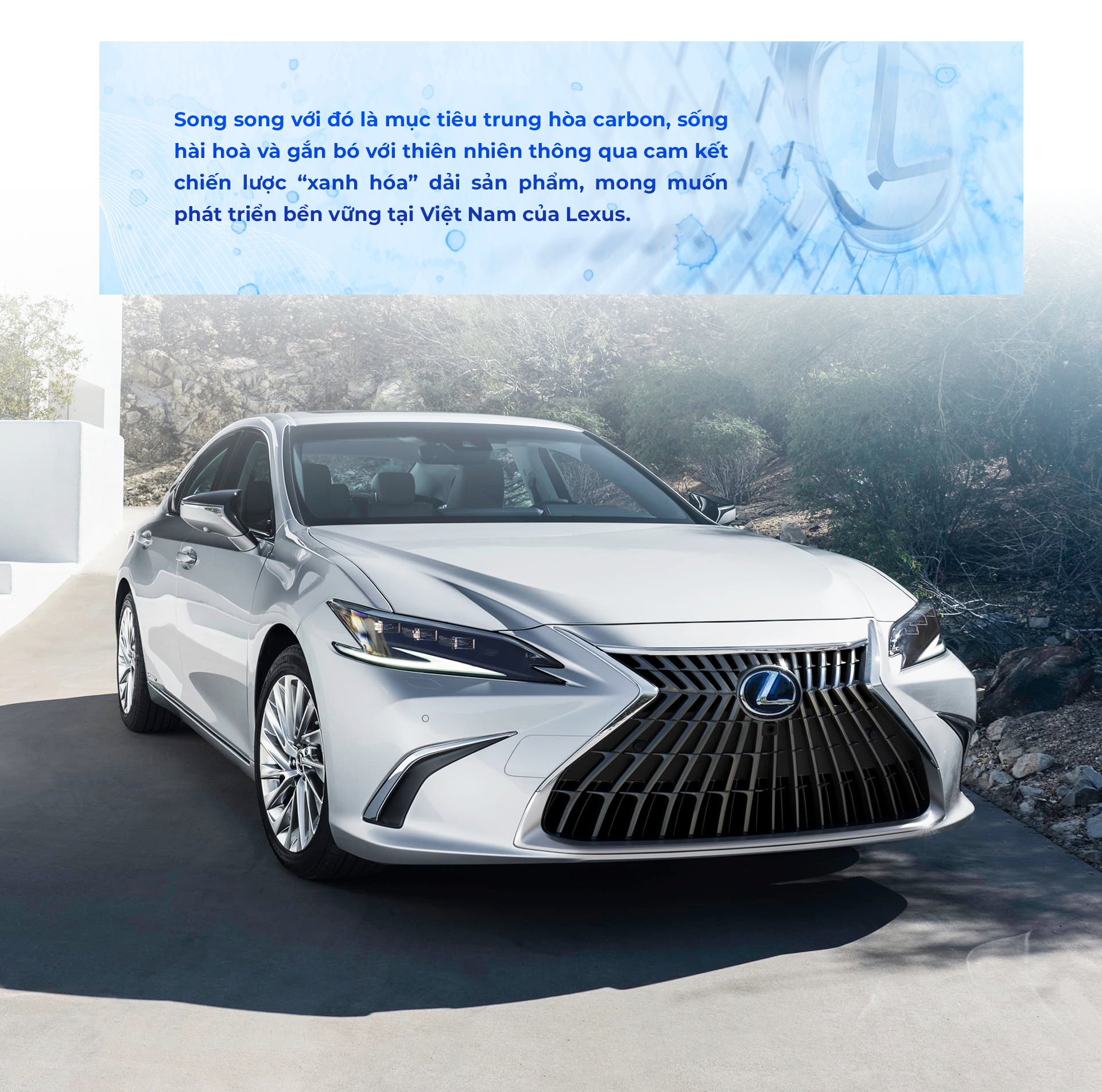 Dấu ấn Lexus tại VMS 2022 Khi nghệ thuật đương đại kết hợp với công nghệ tương lai - 14
