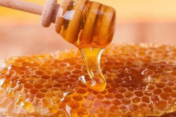 Ẩm thực - Mật ong đang từ thần dược thành "chất độc" nếu bạn không biết những điều này