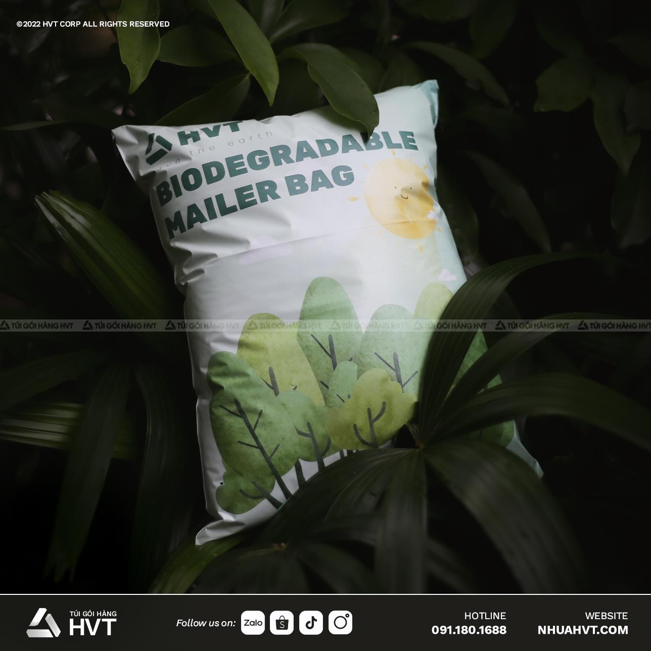 Túi phân hủy sinh học - Dự án phát triển sản phẩm mới của HVT Plastics - 2