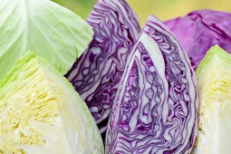 Ẩm thực - Bắp cải vào mùa ngon ngọt, nhưng 7 nhóm người này được khuyến cáo không nên ăn