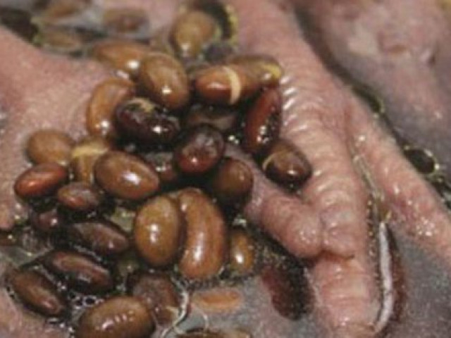 Ẩm thực - Canh chân gà nấu đỗ đen theo cách nhanh gọn sau, thơm ngon còn đẹp da, tốt cho xương khớp và thải độc cơ thể