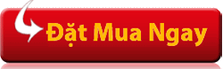 Chuyên gia cảnh báo nguy cơ “thoái hóa sớm” ở người đau lưng, đau vai gáy! - 10