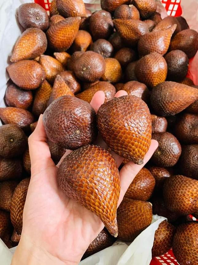 Quả mây có vỏ mỏng, khô, giòn cứng, có vân y hệt da rắn (Ảnh: Hong Dao)