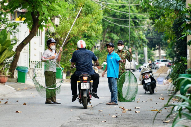 Theo chân đội bắt chó thả rông ở TP.HCM - 3