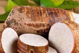 Ẩm thực - Khoai sọ rất ngon nhưng những người này tuyệt đối không nên ăn