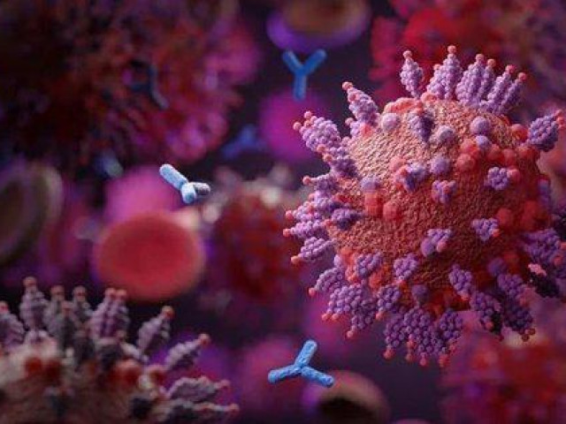 Sức khỏe đời sống - Nghiên cứu về tái nhiễm: Tin vui lớn cho các cựu F0 Omicron