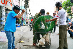Tin tức trong ngày - Theo chân đội bắt chó thả rông ở TP.HCM
