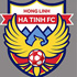 Trực tiếp bóng đá Hà Nội - Hà Tĩnh: Bảo toàn thành quả (Hết giờ) - 2