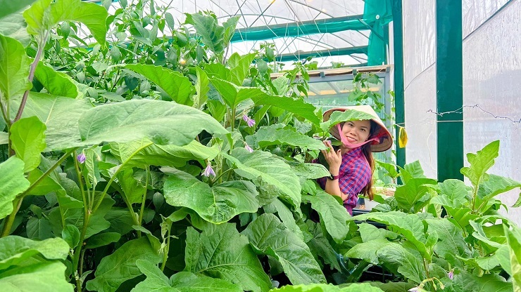 Mỗi ngày, chị Đợi dành 2 tiếng để chăm sóc khu vườn. Đặc biệt vào mùa hè, mỗi ngày chị tưới nước từ 5-7 lần cho cây cối luôn xanh tốt.
