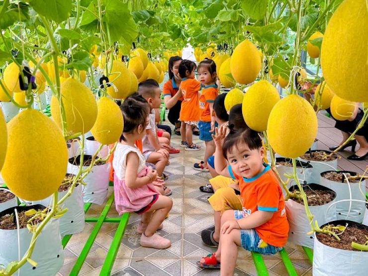 Thị trường - Tiêu dùng - 8x Bắc Kạn chi 200 triệu đồng mang đất lên sân thượng làm "khu vườn trên mây"