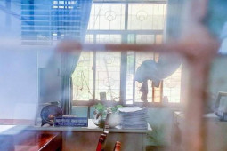 Tin tức trong ngày - Phó Chủ tịch phường ở Quy Nhơn "mất tích" hơn 1 tháng không có mặt ở cơ quan