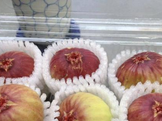 Thị trường - Tiêu dùng - Tò mò về loại sung 'siêu to khổng lồ' xuất hiện ở Việt Nam