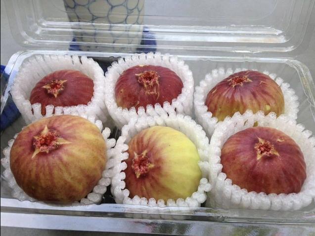 Sung Mỹ có giá dao động 250.000 - 290.000 đồng/kg (ảnh: Dân trí).